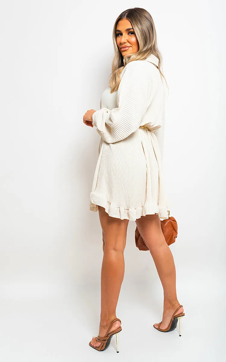 Long Sleeve Pleated Button Up Mini Dress